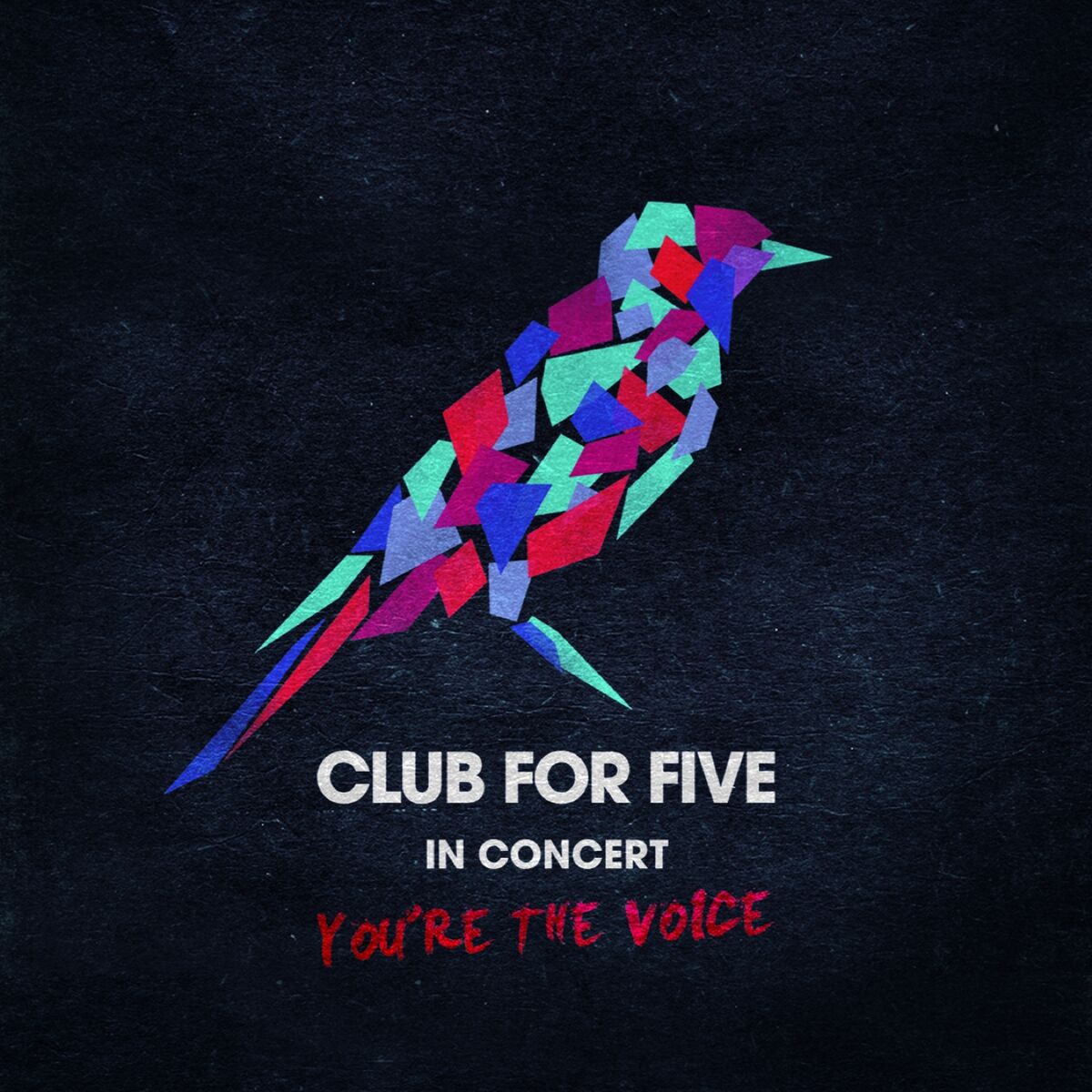 Album cover of In Concert - You're The Voice