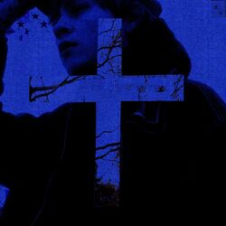 Cover of The Fall / For the Last Time