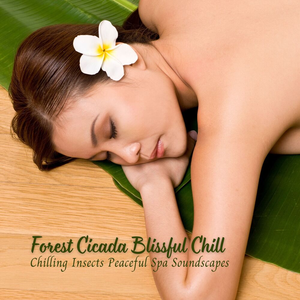 Picture of Forest Cicada Blissful Chill: Chilling Insects Peaceful Spa Soundscapes