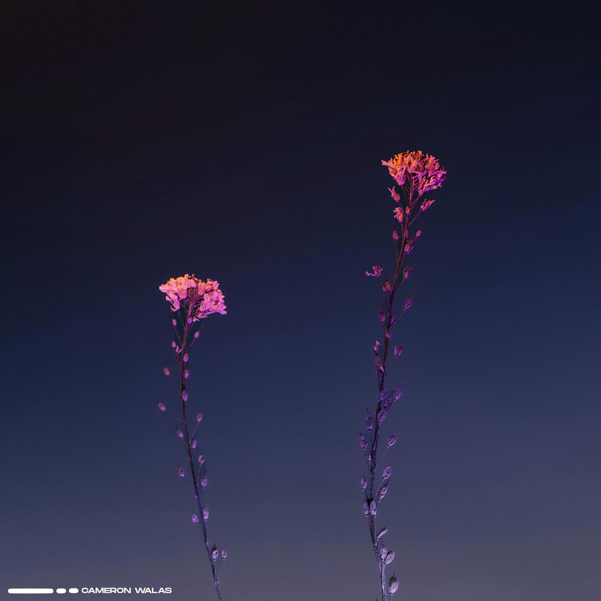 Album cover of Another Time