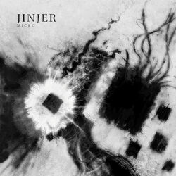Cover of Micro