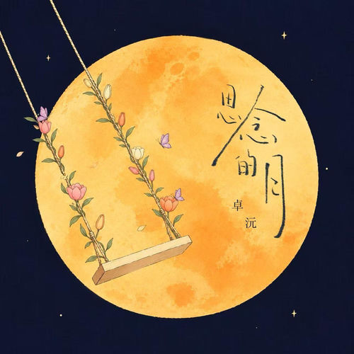 思念的月