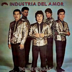 Cover of Dónde Estarás