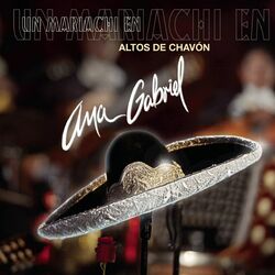 Un Mariachi En Altos De Chavón