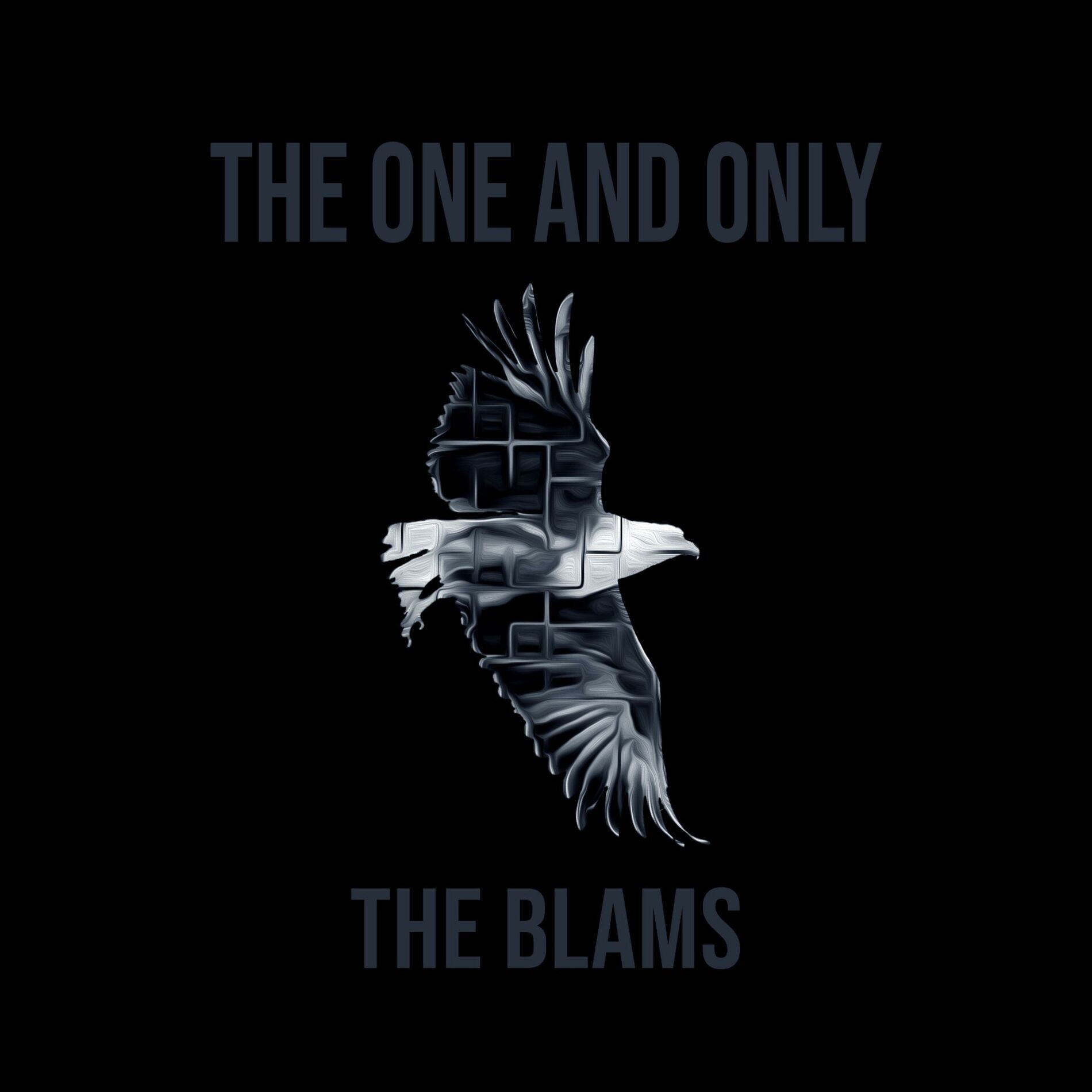Album cover of The One and Only