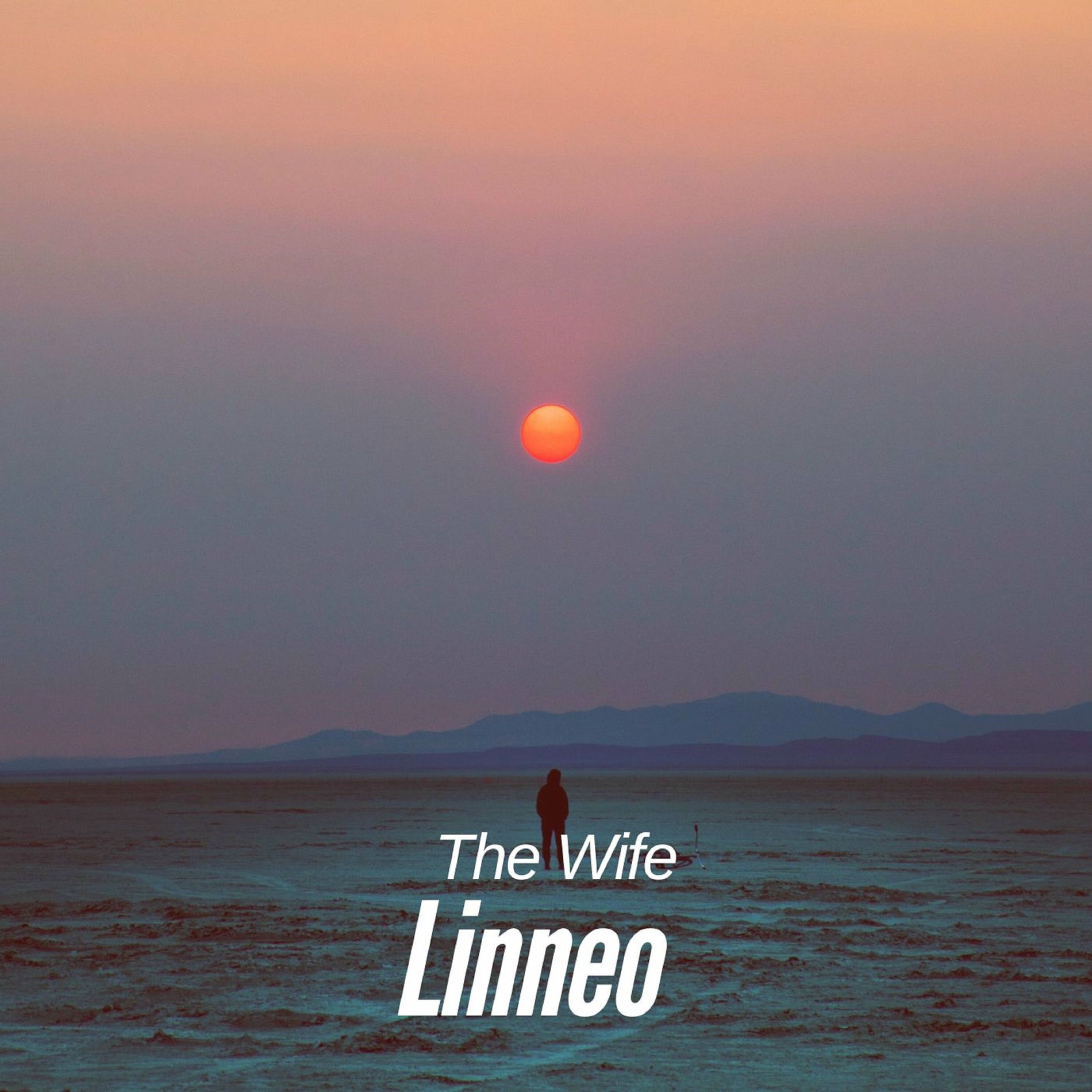 Album cover of The Wife