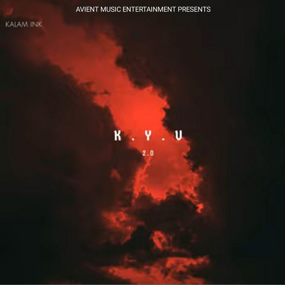 Picture of Kyu 2 0