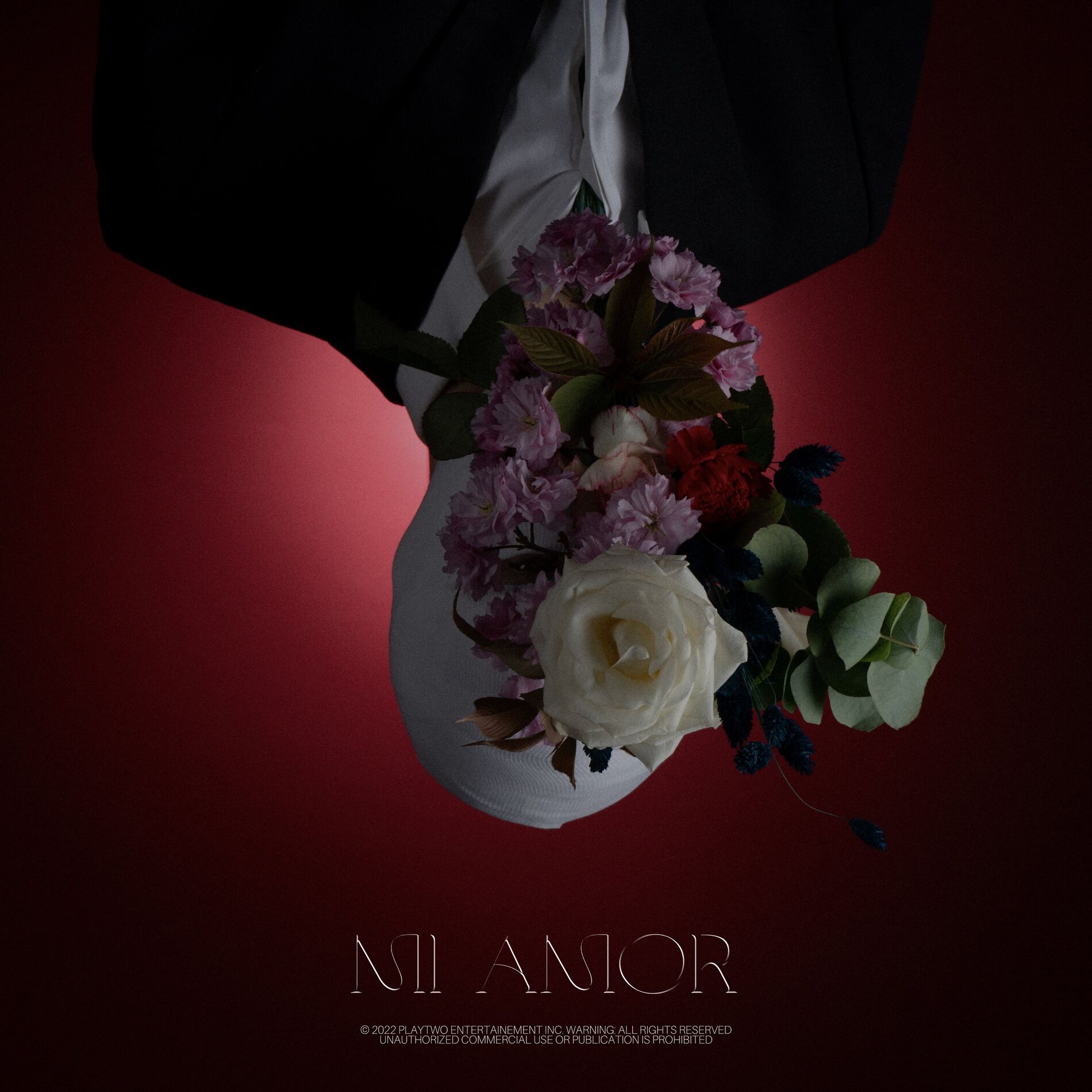 Album cover of Mi amor
