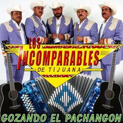 Cover of Gozando el Pachangon