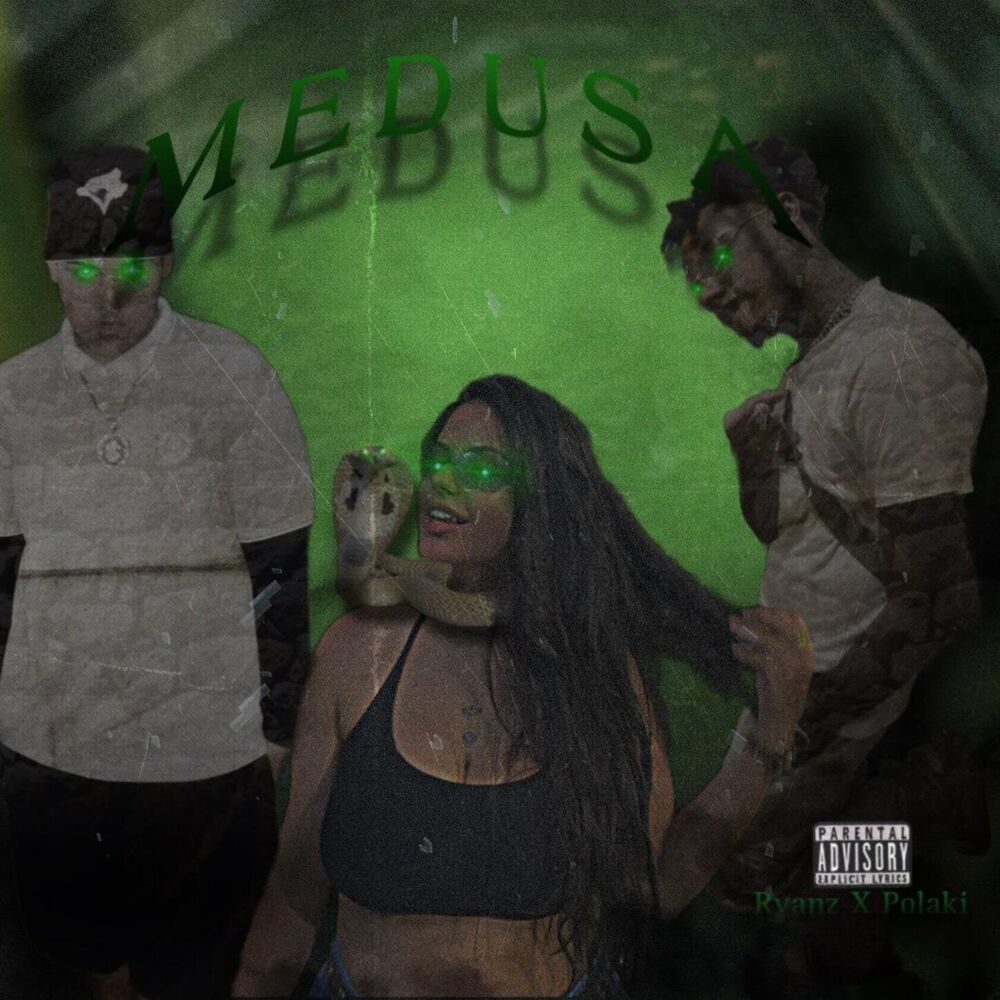 Picture of Medusa