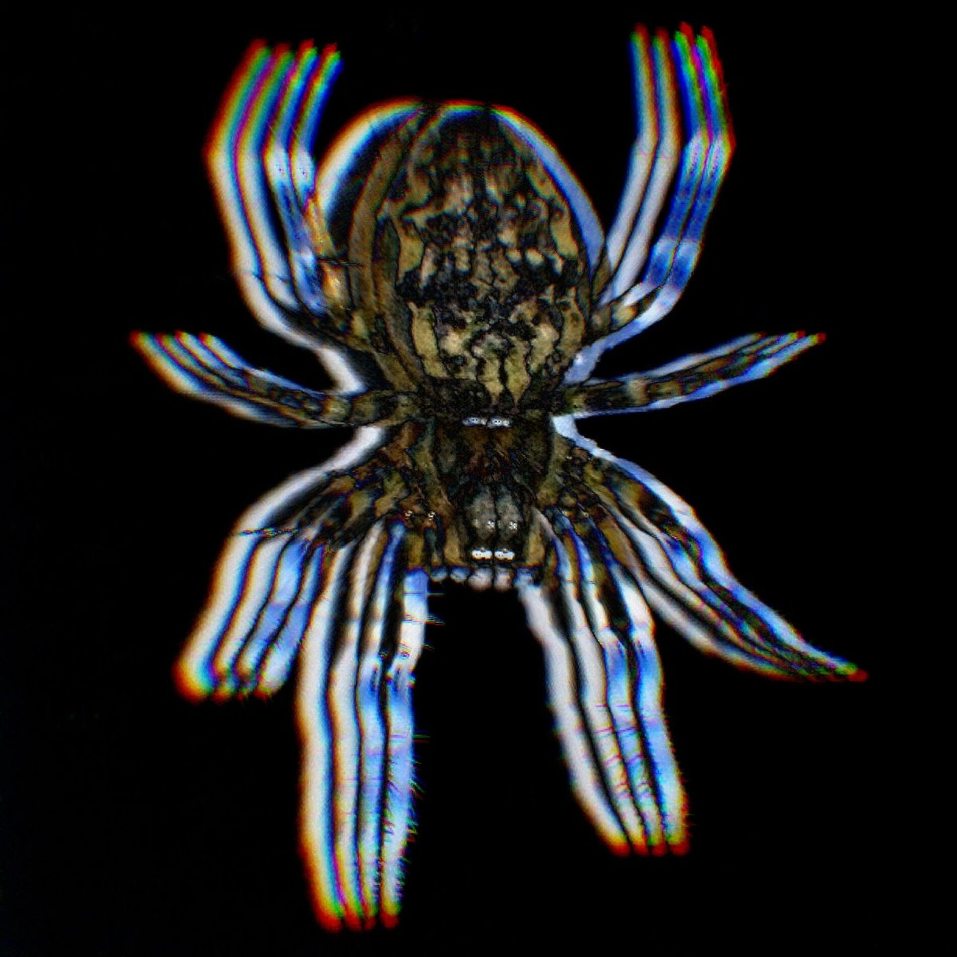 Album cover of Wild and Wonderful