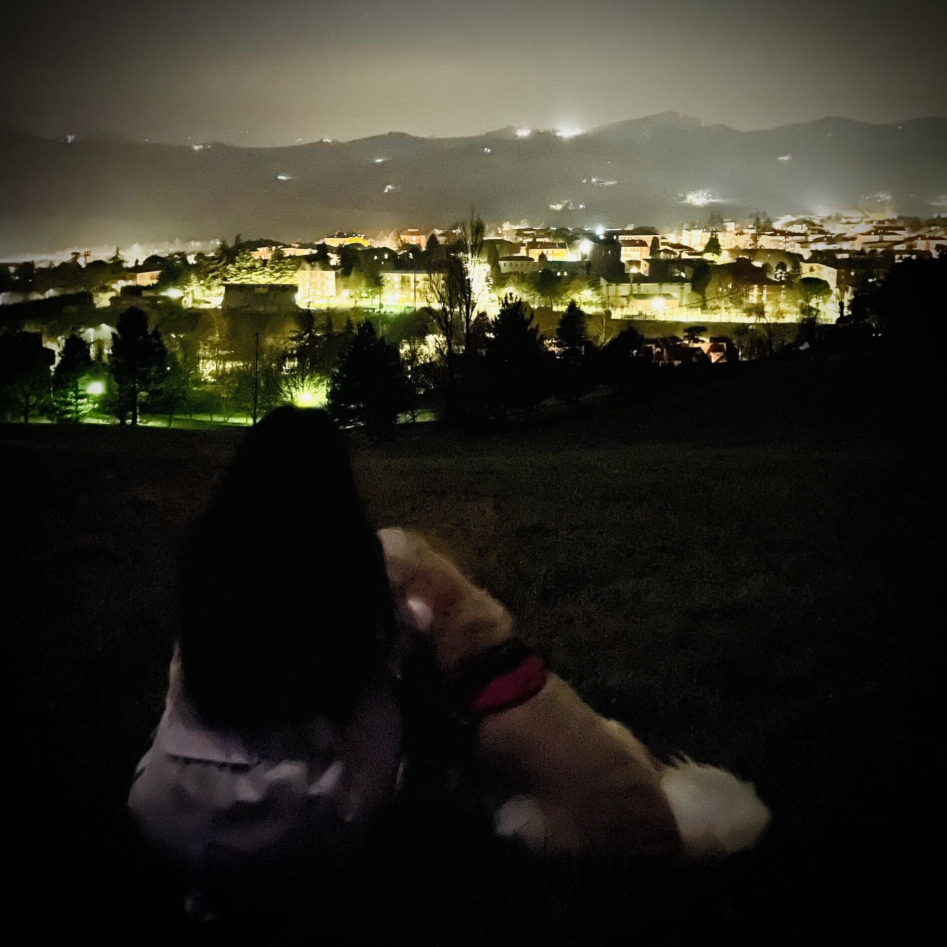 Album cover of Ultimo