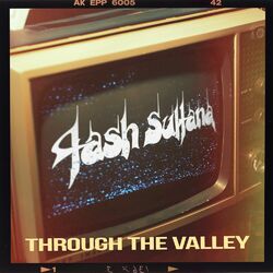 Cover of Through the Valley (The Last of Us Part II)