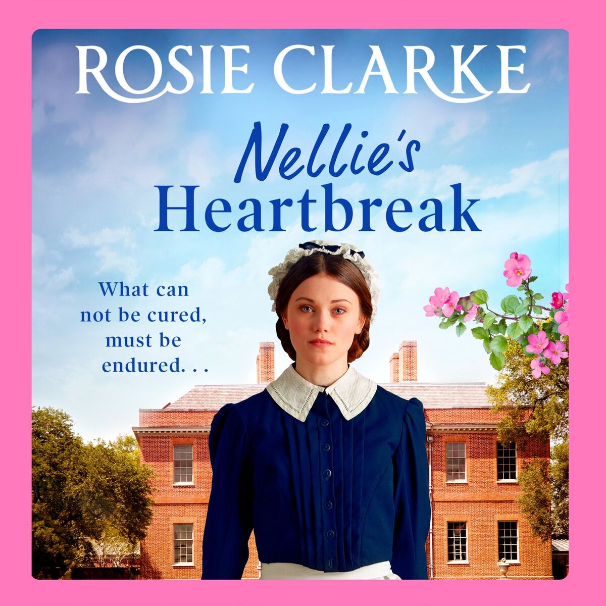 Album cover of Chapter 1 - Nellie's Heartbreak