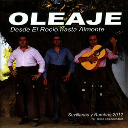 Cover of Desde el Rocío Hasta Almonte