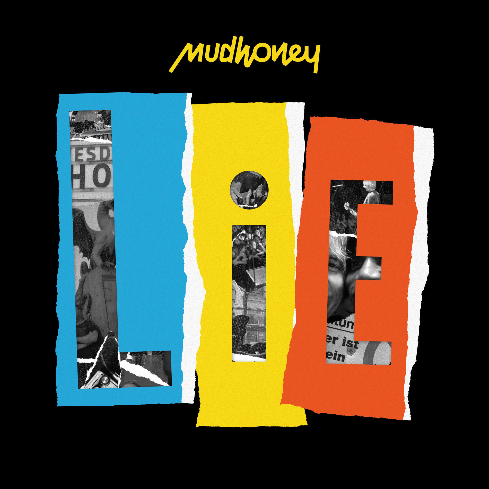 Album cover of LiE (Live in Europe)