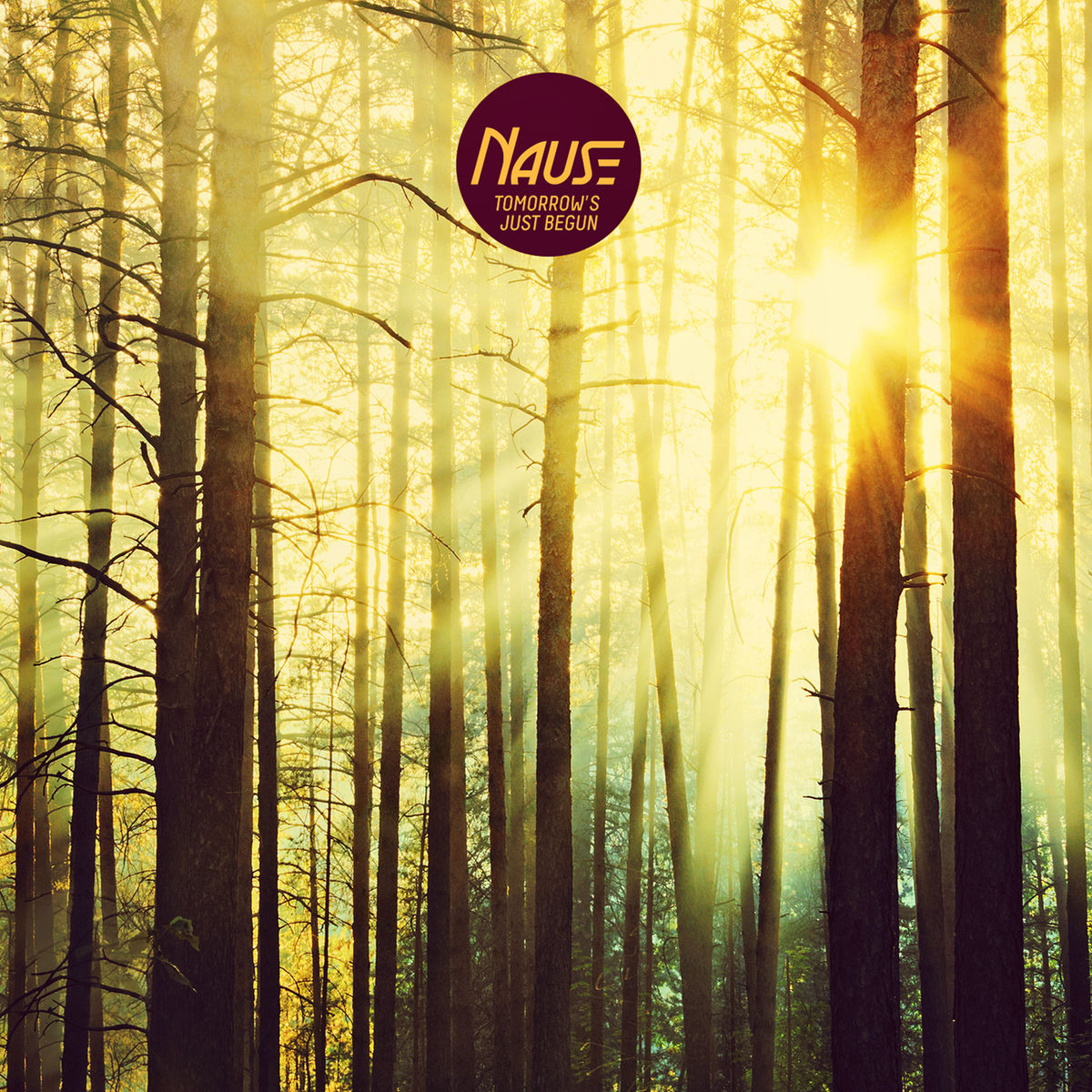 Album cover of Tomorrow's Just Begun