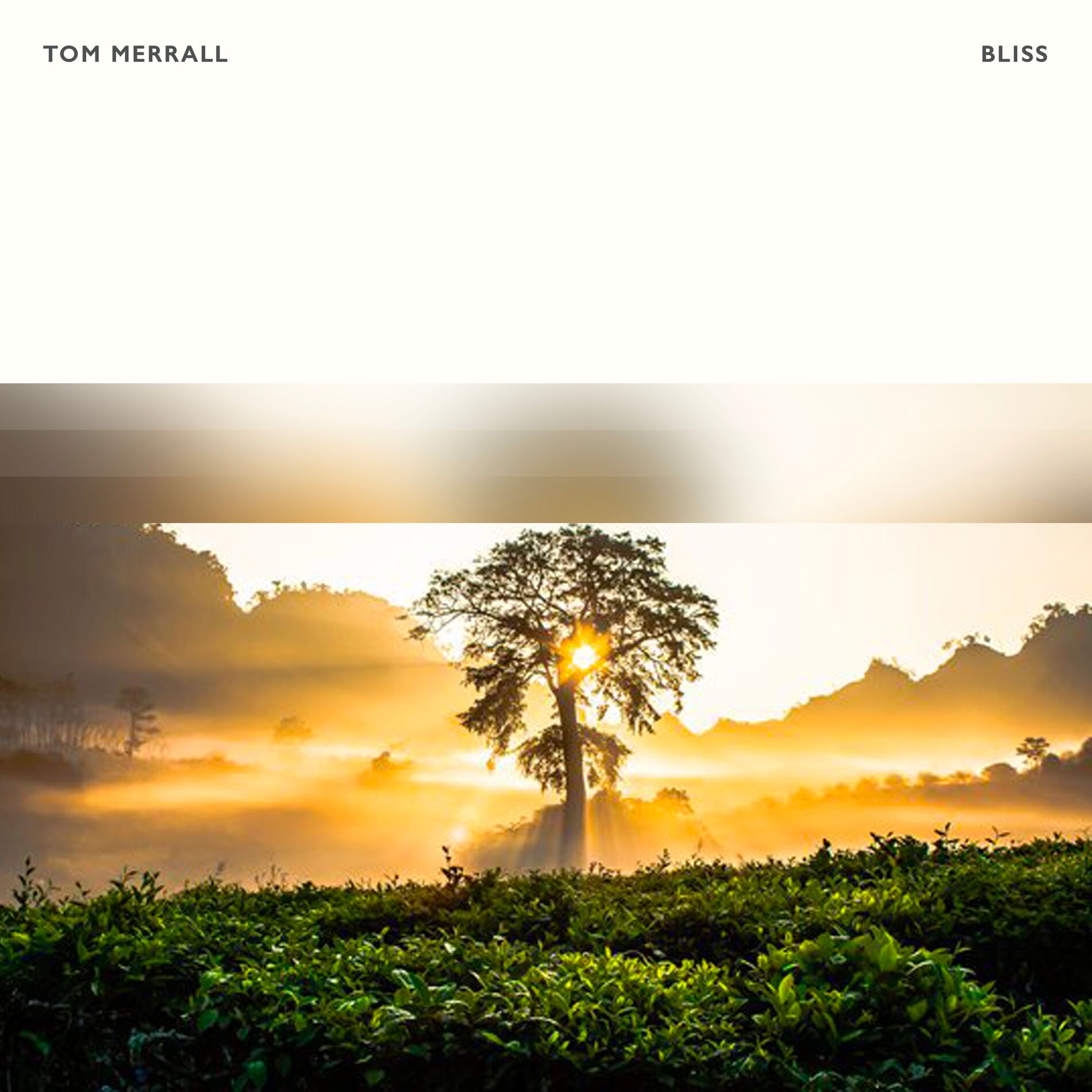 Album cover of Bliss