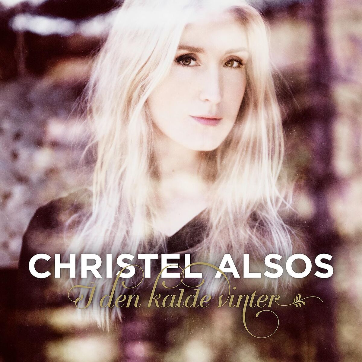 Album cover of I den kalde vinter