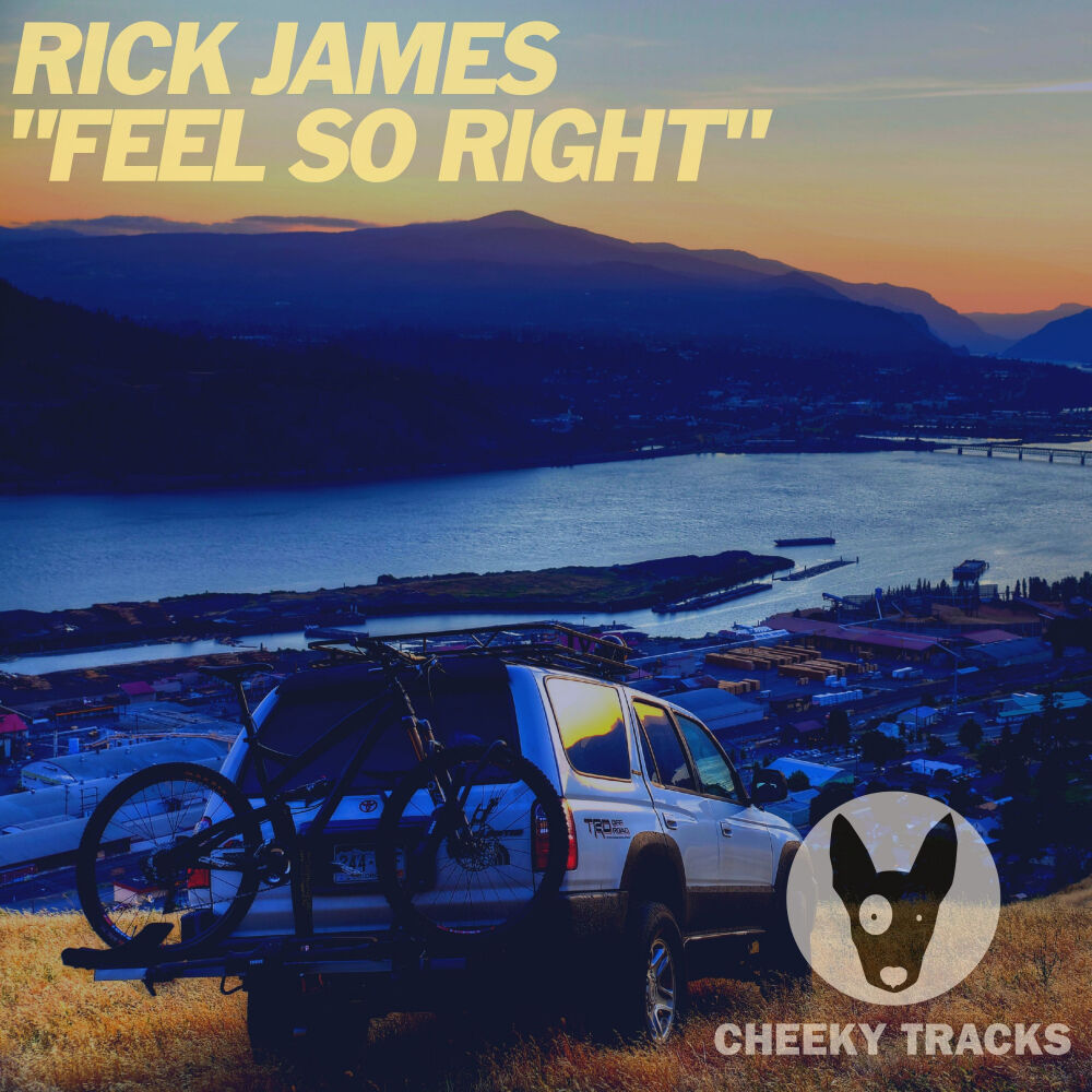 Picture of Feel So Right