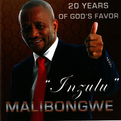 Cover of Inzulu ( 20 years of God's favor)