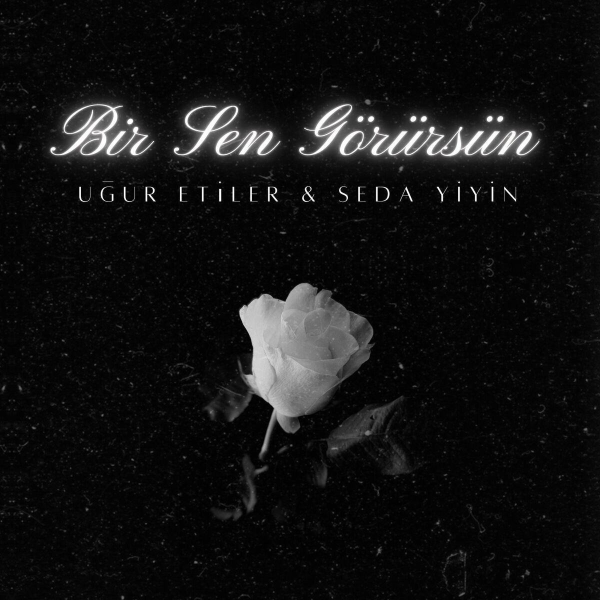 Album cover of Bir Sen Görürsün