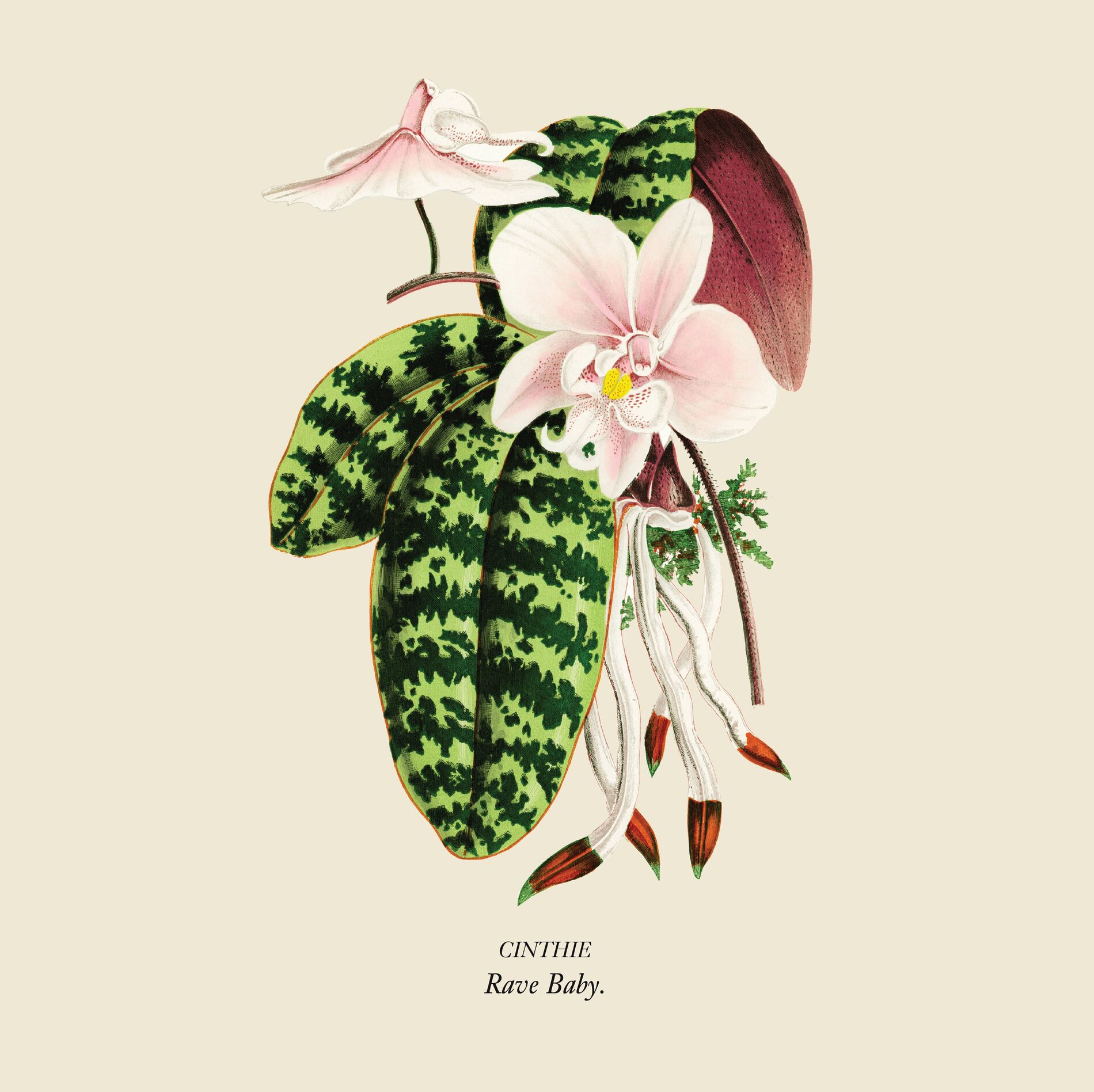 Album cover of I Warned You Baby