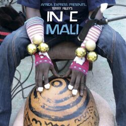 Africa Express Presents... Terry Riley's In C Mali