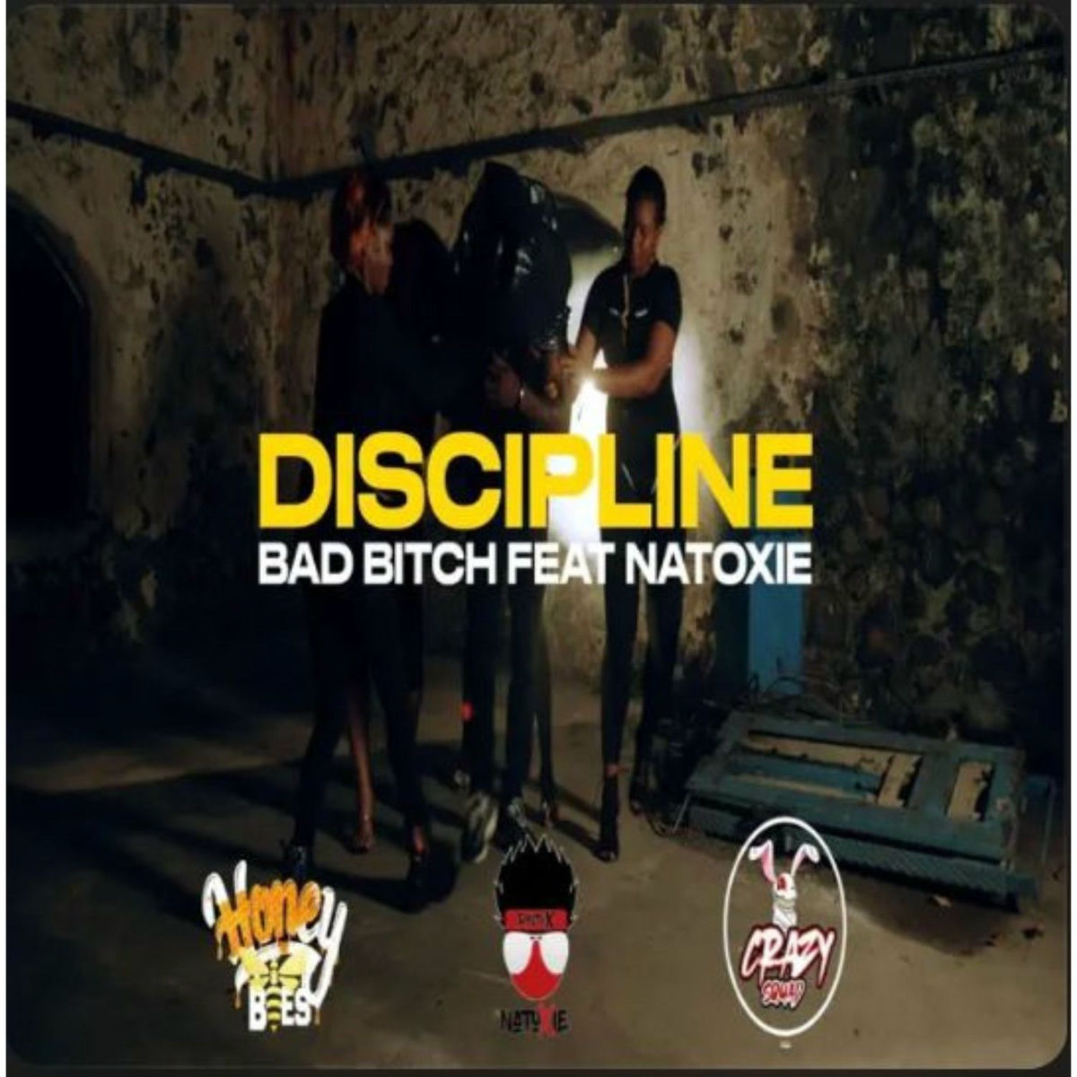 Album cover of Discipline