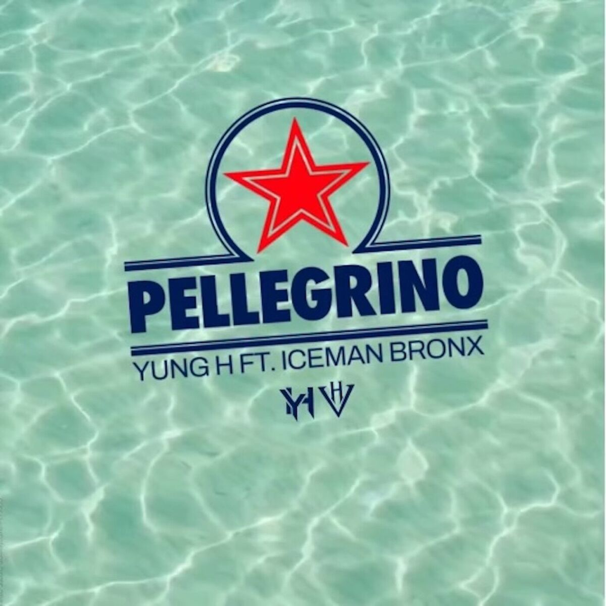 Album cover of Pellegrino