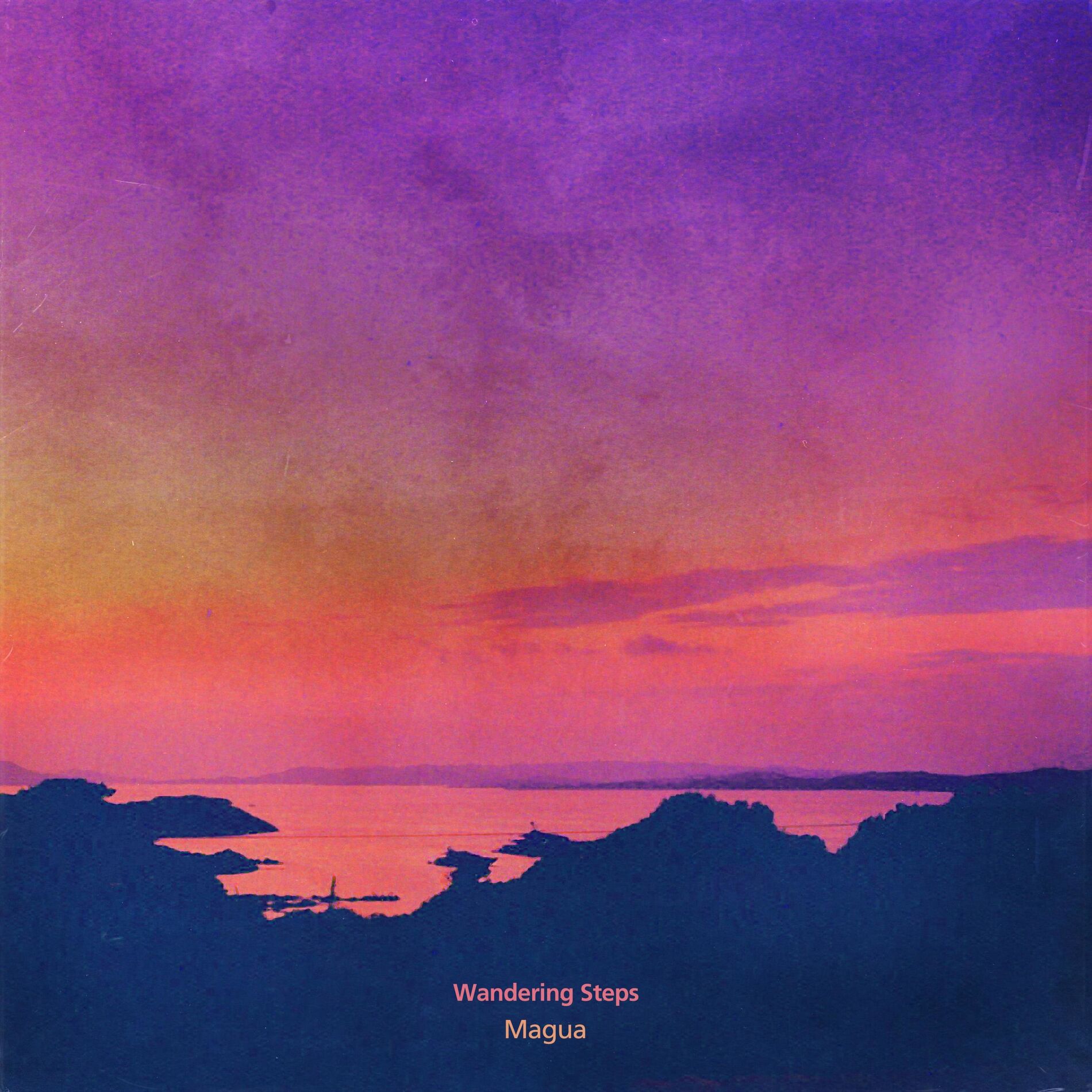 Album cover of Wandering Steps