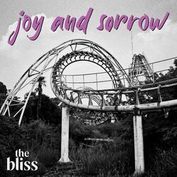 Cover of joy and sorrow