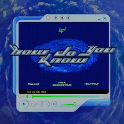 Cover of How Do You Know