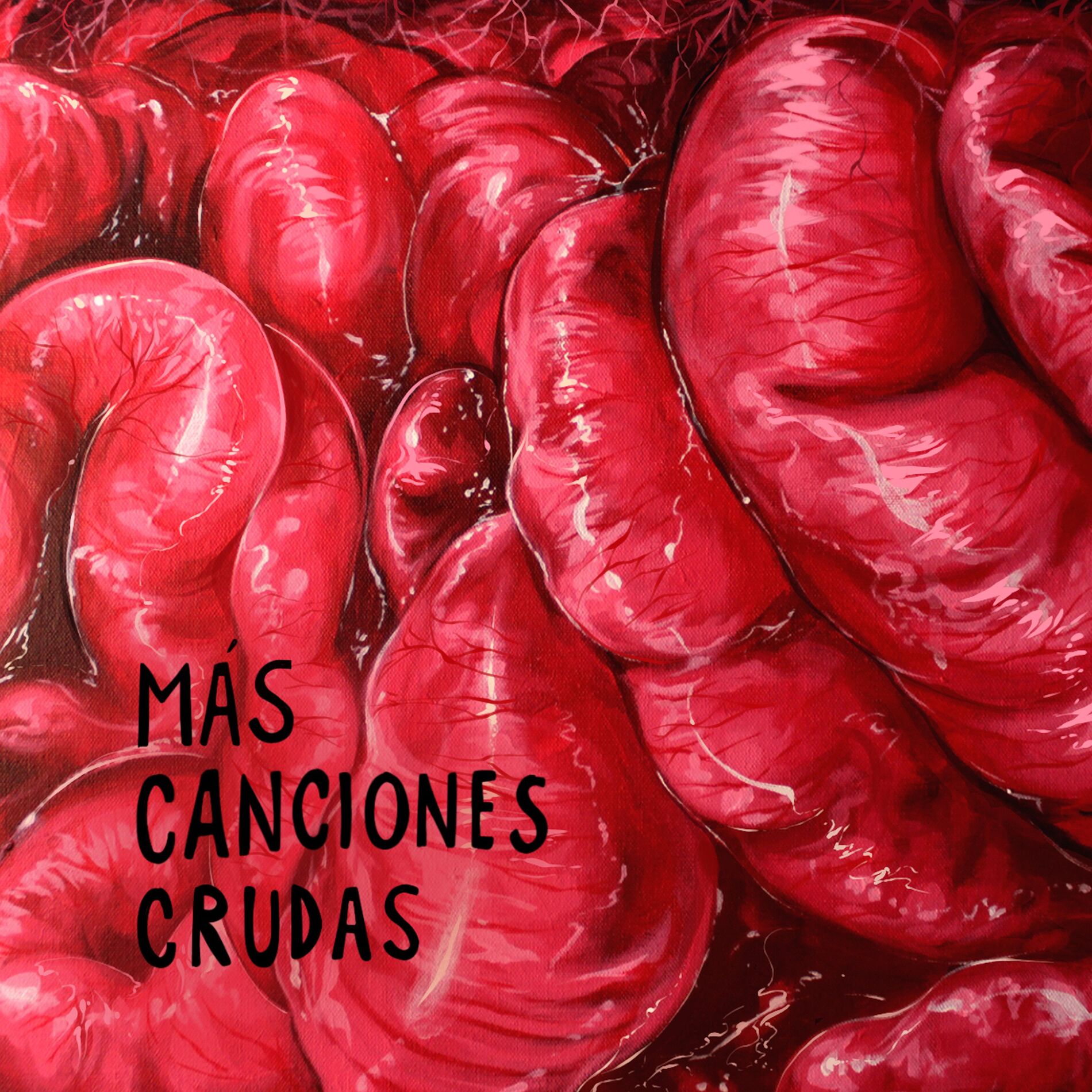 Album cover of Más Canciones Crudas