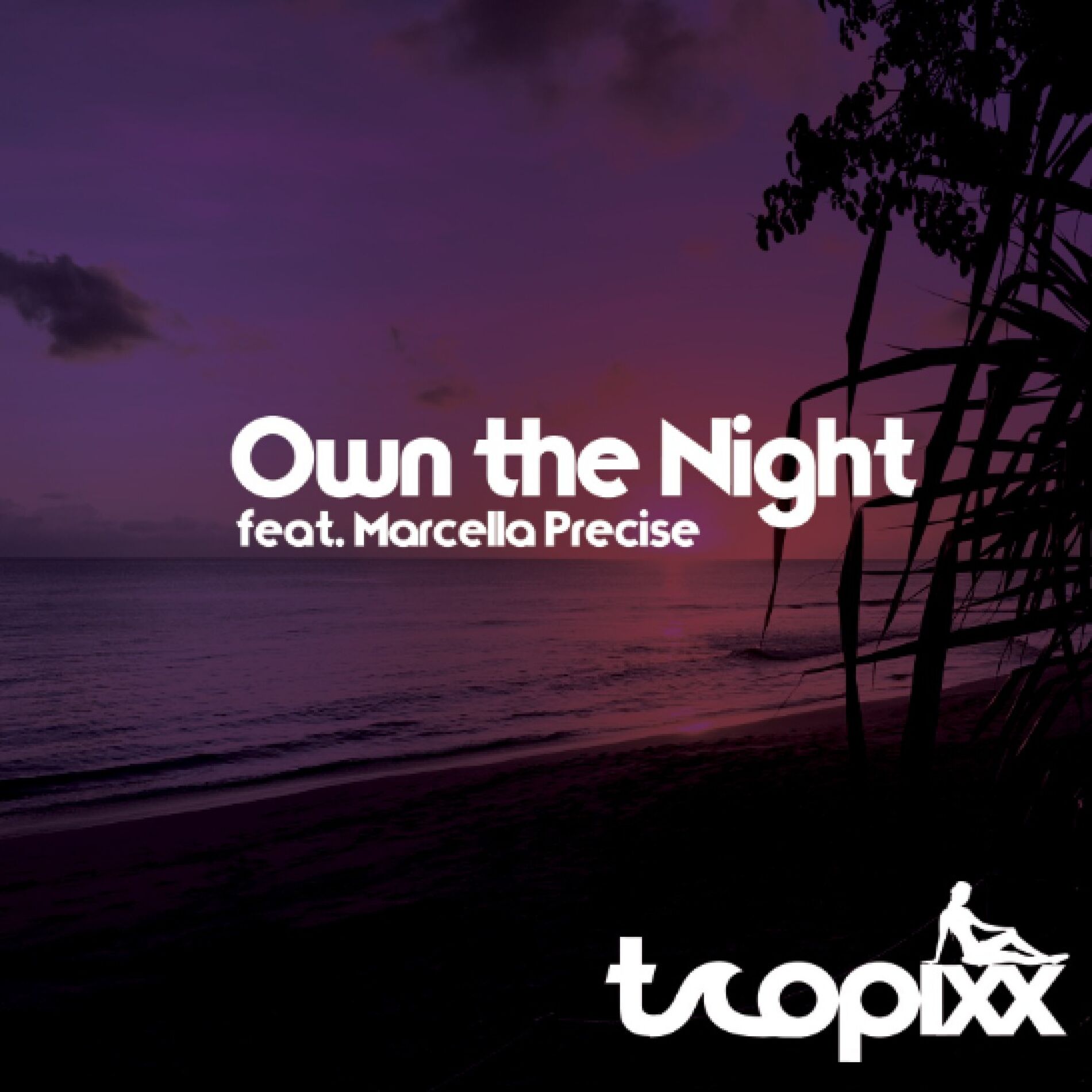 Album cover of Own the Night