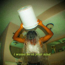 Cover of I Wanna Be On Your Mind