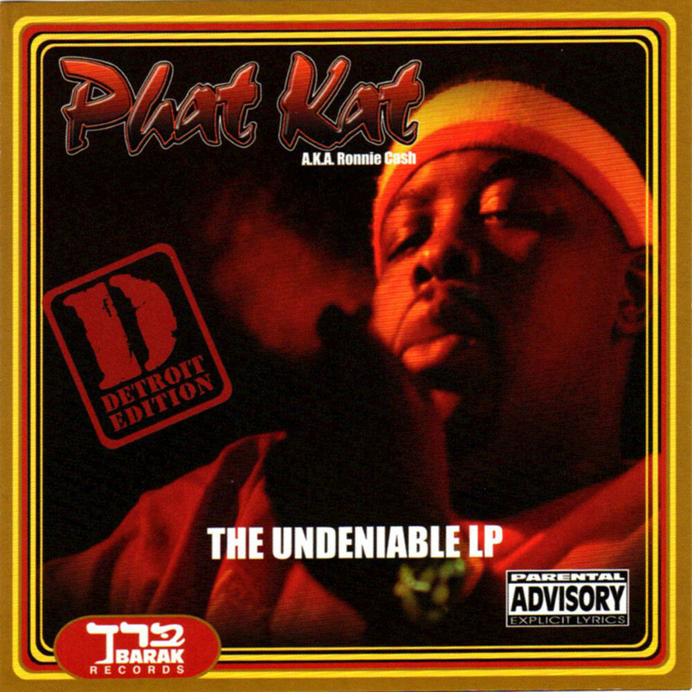 Picture of Undeniable (Detroit Edition)