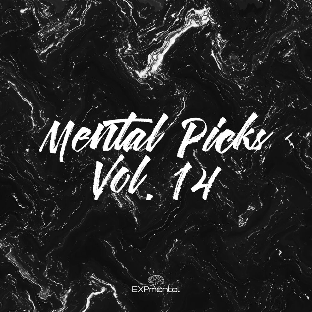 Picture of Mental Picks Vol.14