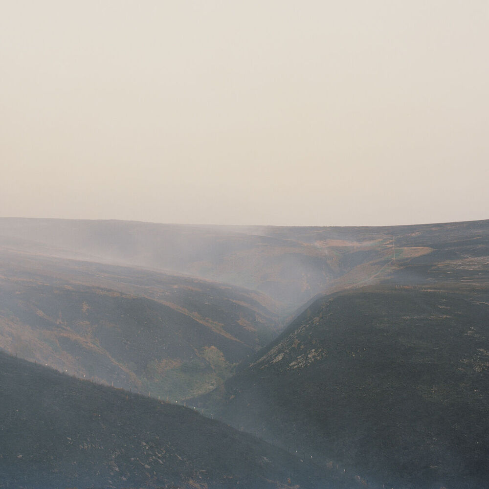 Picture of Third / Dawn (2018)