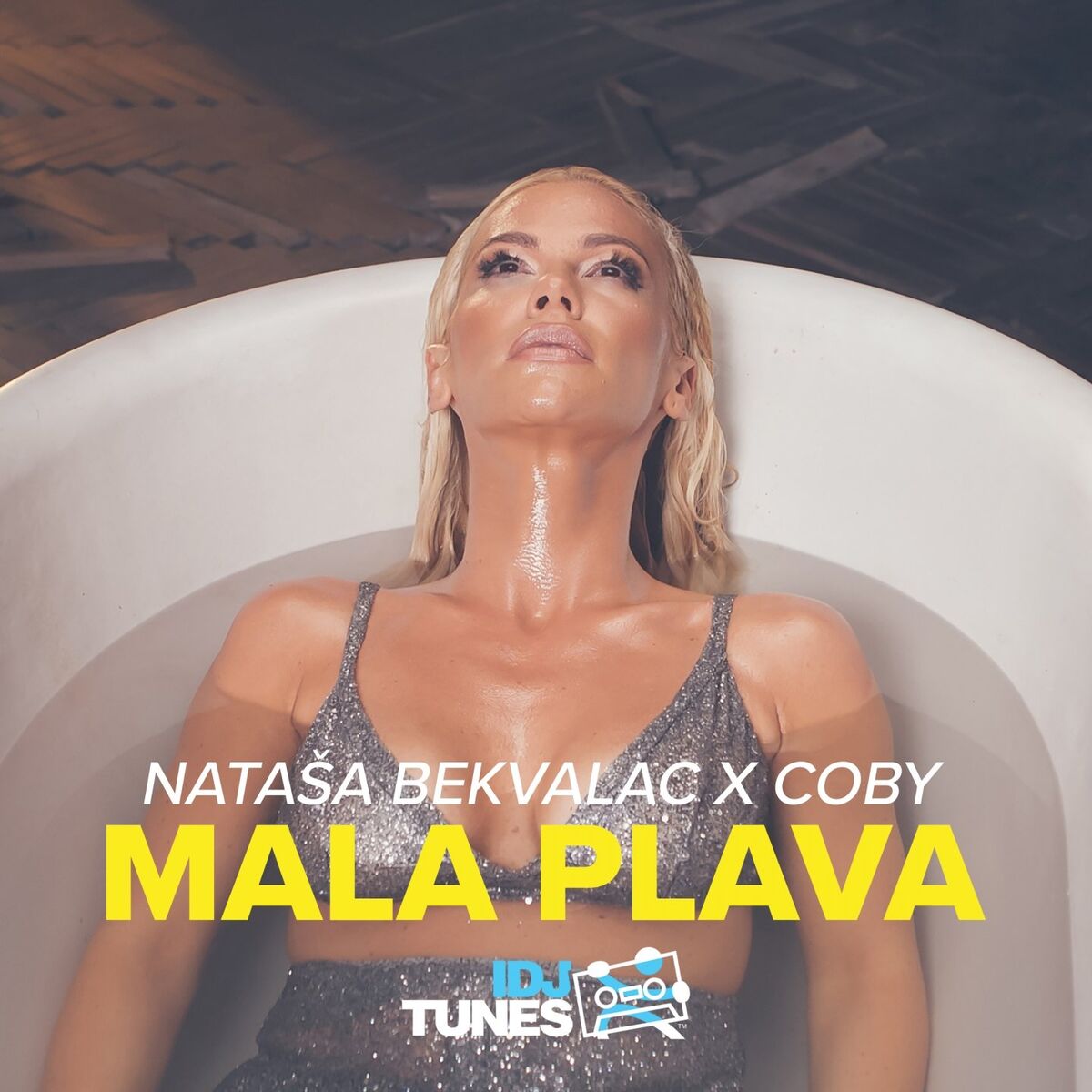 Album cover of Mala Plava