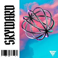 Cover of Skyward