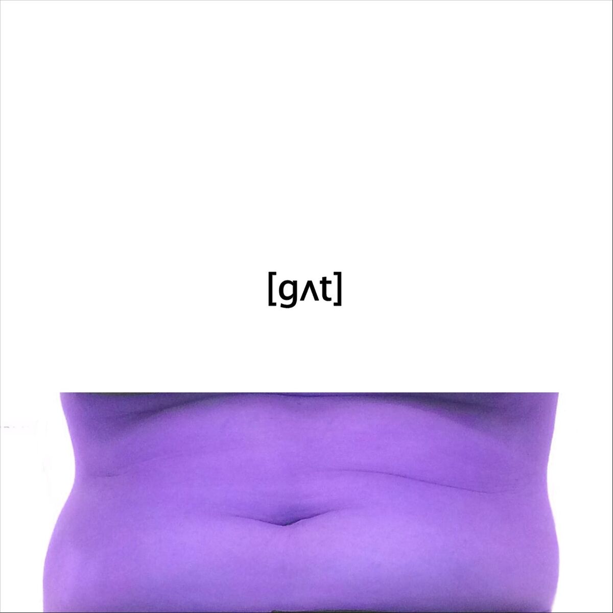 Album cover of Gut