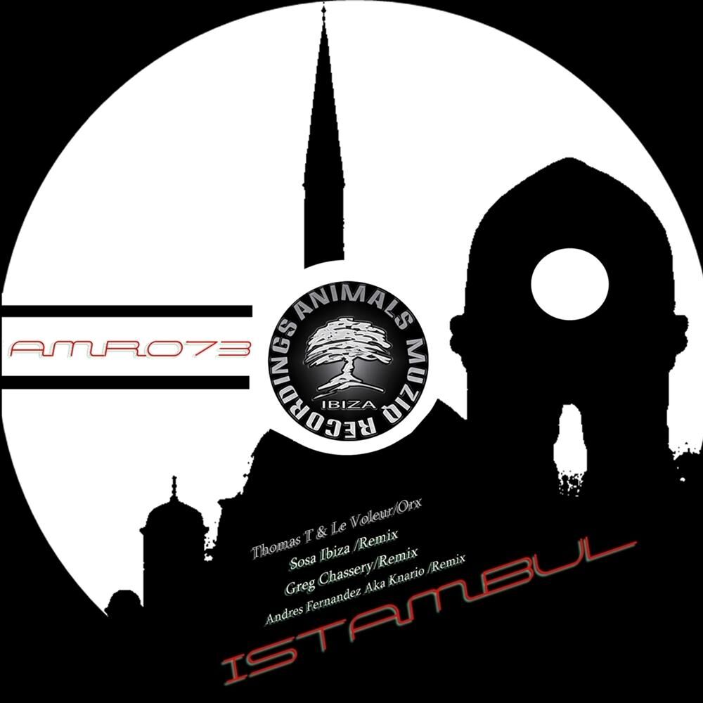 Picture of Istambul