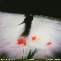 Cover of Nothing to Lose