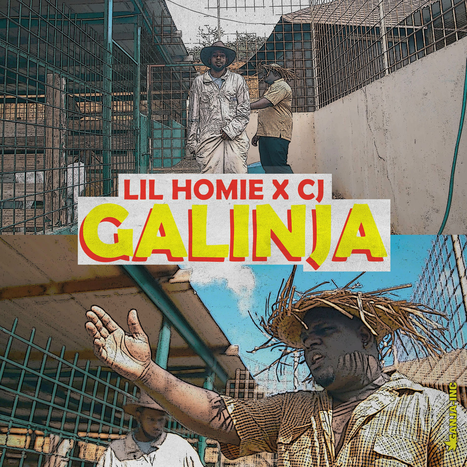 Album cover of Galinja (Kwe) [feat. CJ]