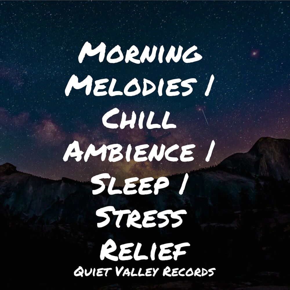 Picture of Morning Melodies | Chill Ambience | Sleep | Stress Relief