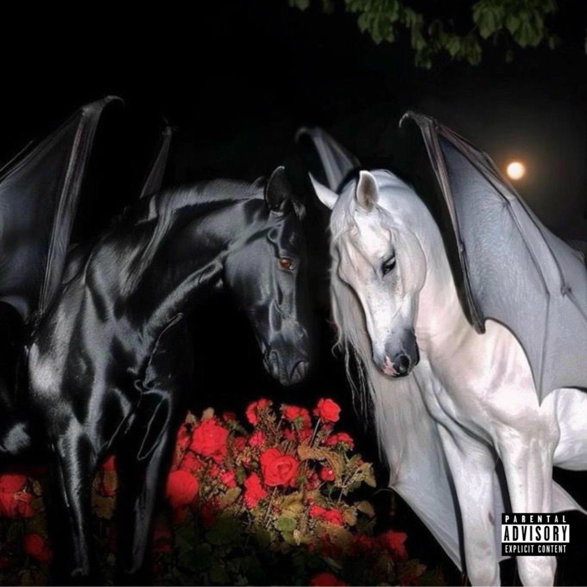 Album cover of same time