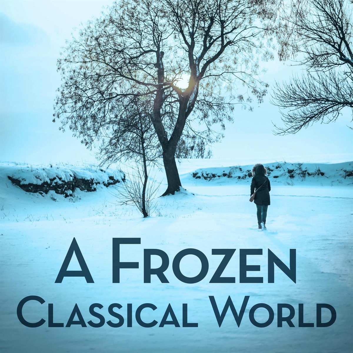 Album cover of A Frozen Classical World