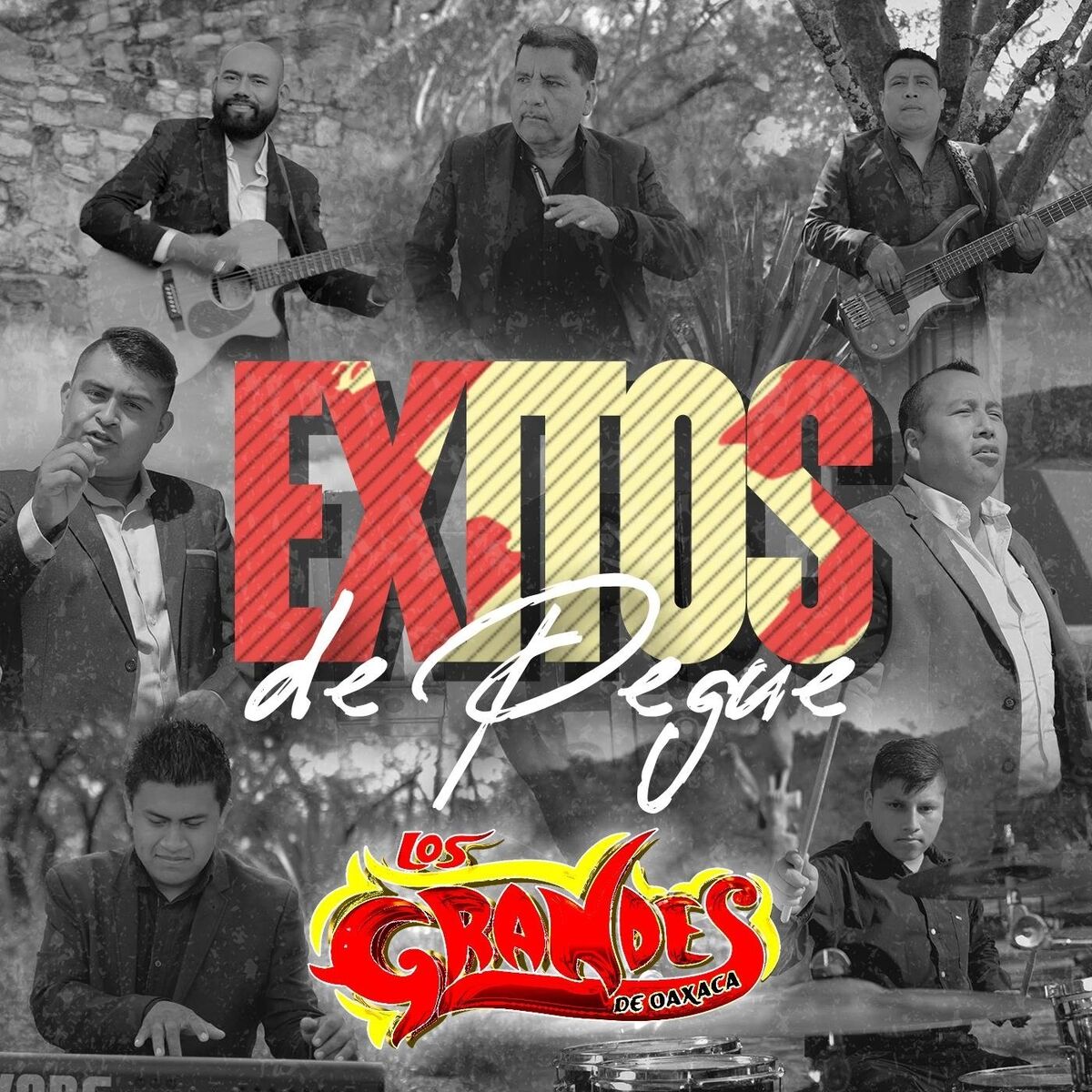 Album cover of Exitos de Pegue