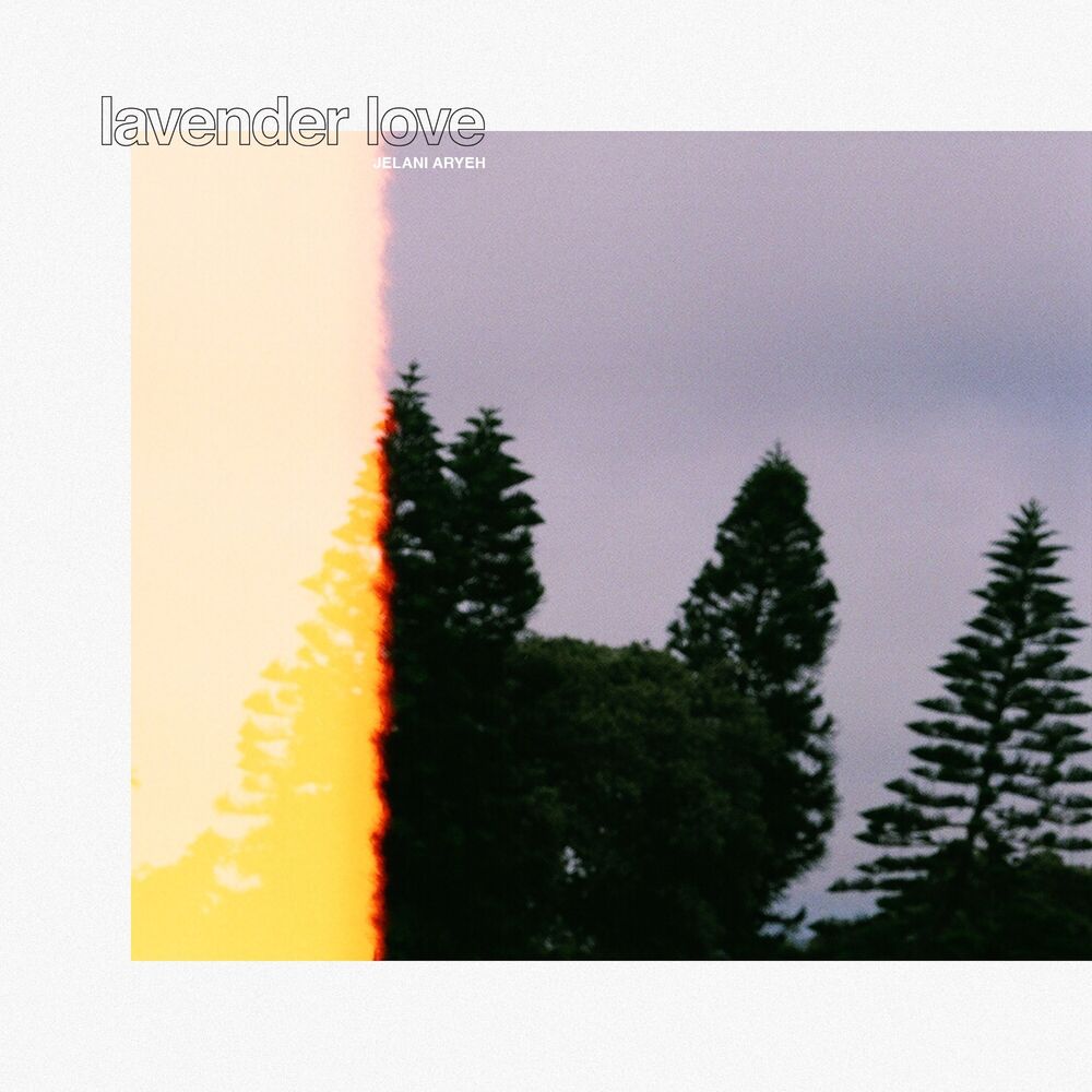 Picture of Lavender Love